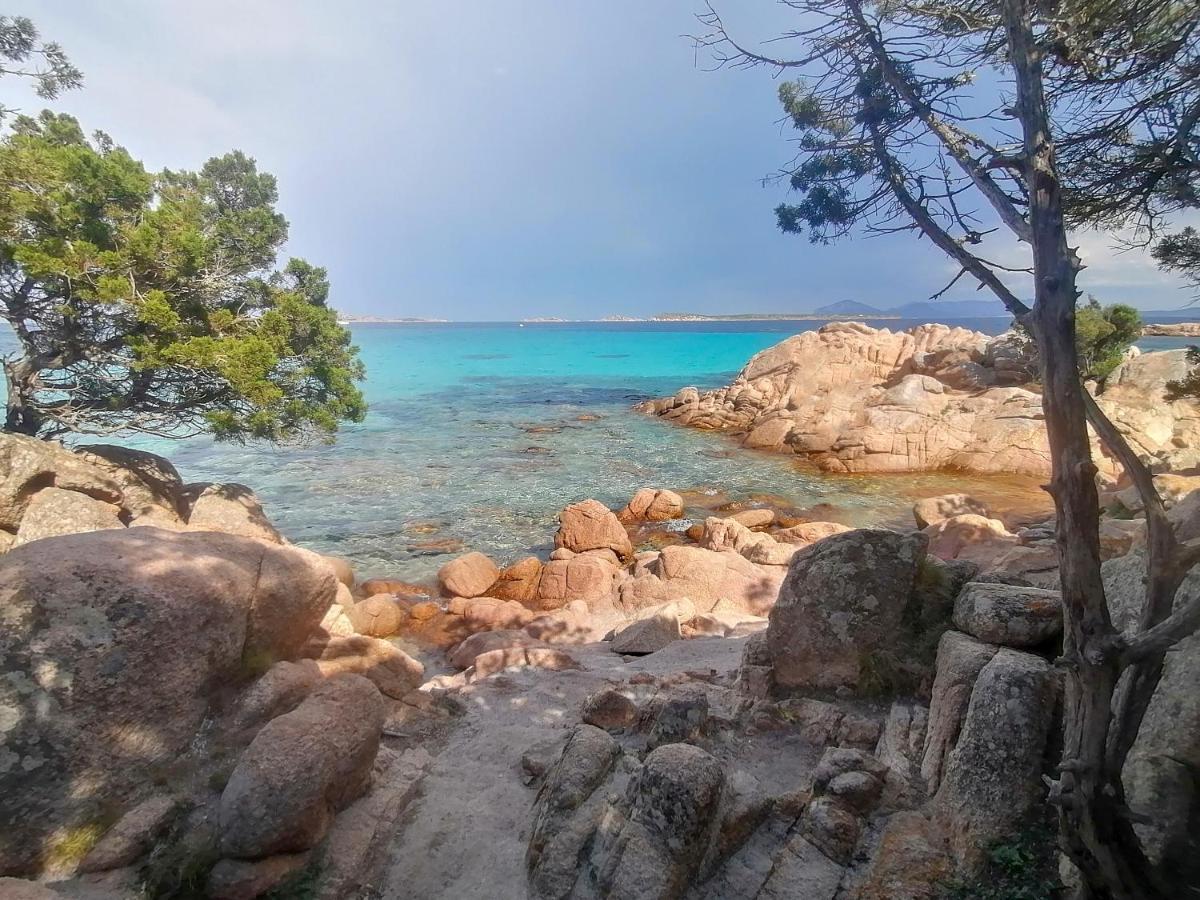 Domus Smeralda Πόρτο Τσέρβο Εξωτερικό φωτογραφία